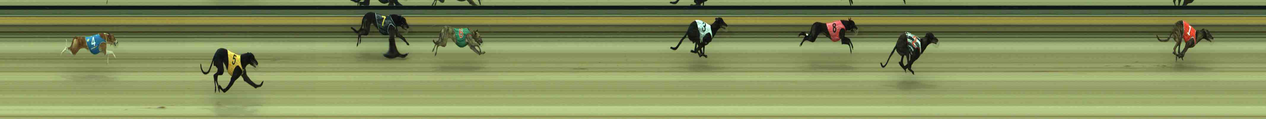 Race result finish photo